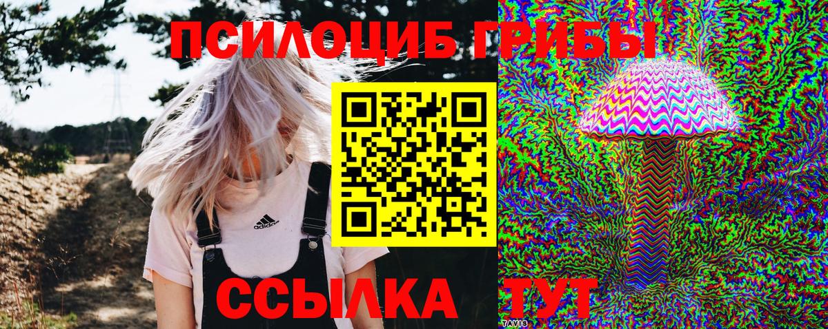 Галлюциногенные грибы GOLDEN TEACHER  Галлюциногенные грибы ЛСД  Алексин  Вход с VPN 